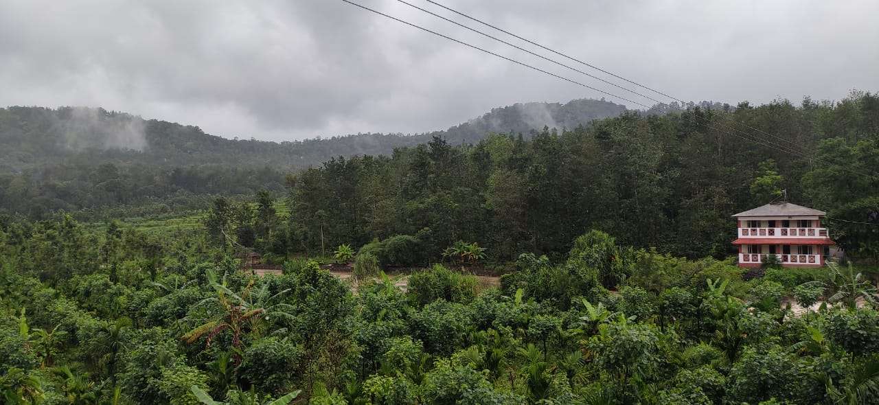 A Peaceful Homestay Amidst Coffee Plantations in Coorg Image