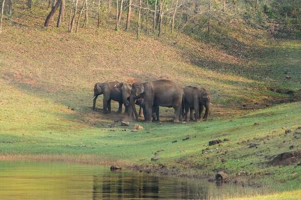 W8cfnnctqz04nyph0sq7r5htth1e downpic.cc image179837645