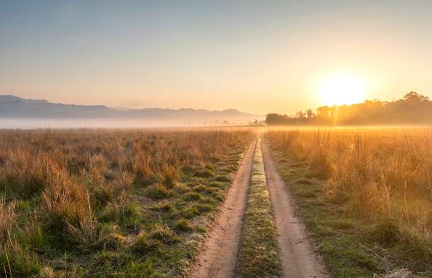 W97km3zn9mb1o05tx3fsmiig7tva shutterstock 2172779165