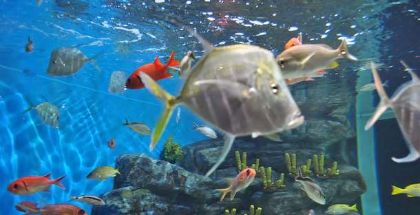 W9ex0ub3sdp4jcnw4bst7xwa7oy9 1591797773 aqua jeju 3