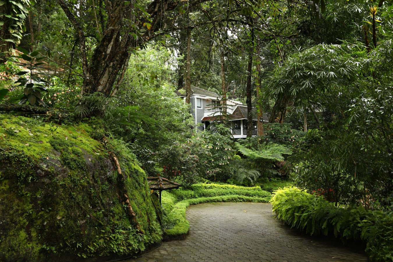 One of the most nature friendly properties in Munnar