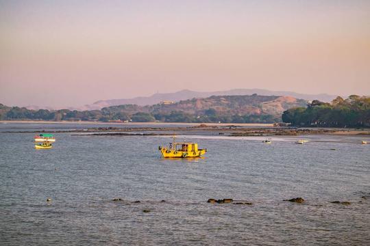 Mumbai To Alibaug Ferry Image