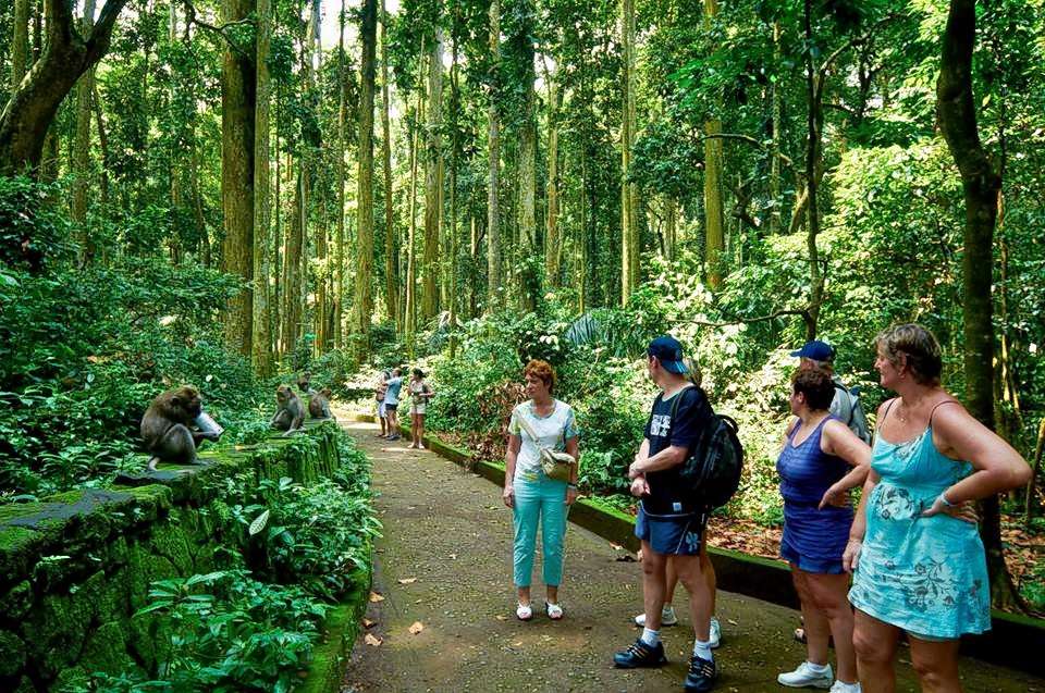 Rain Forest Trekking at Bedugul in Bali Image