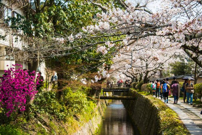 Philosophers Path, Kyoto