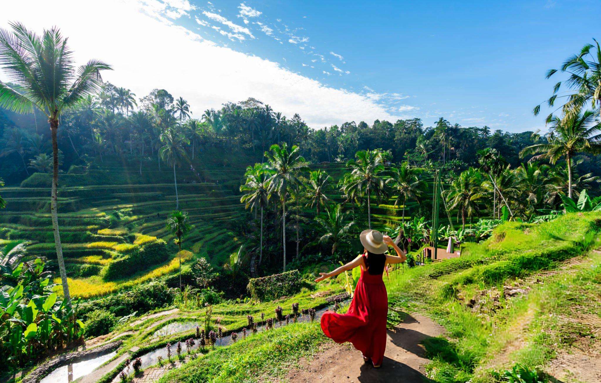 Woman at the beautiful Tegalalang rice terrace in Bali