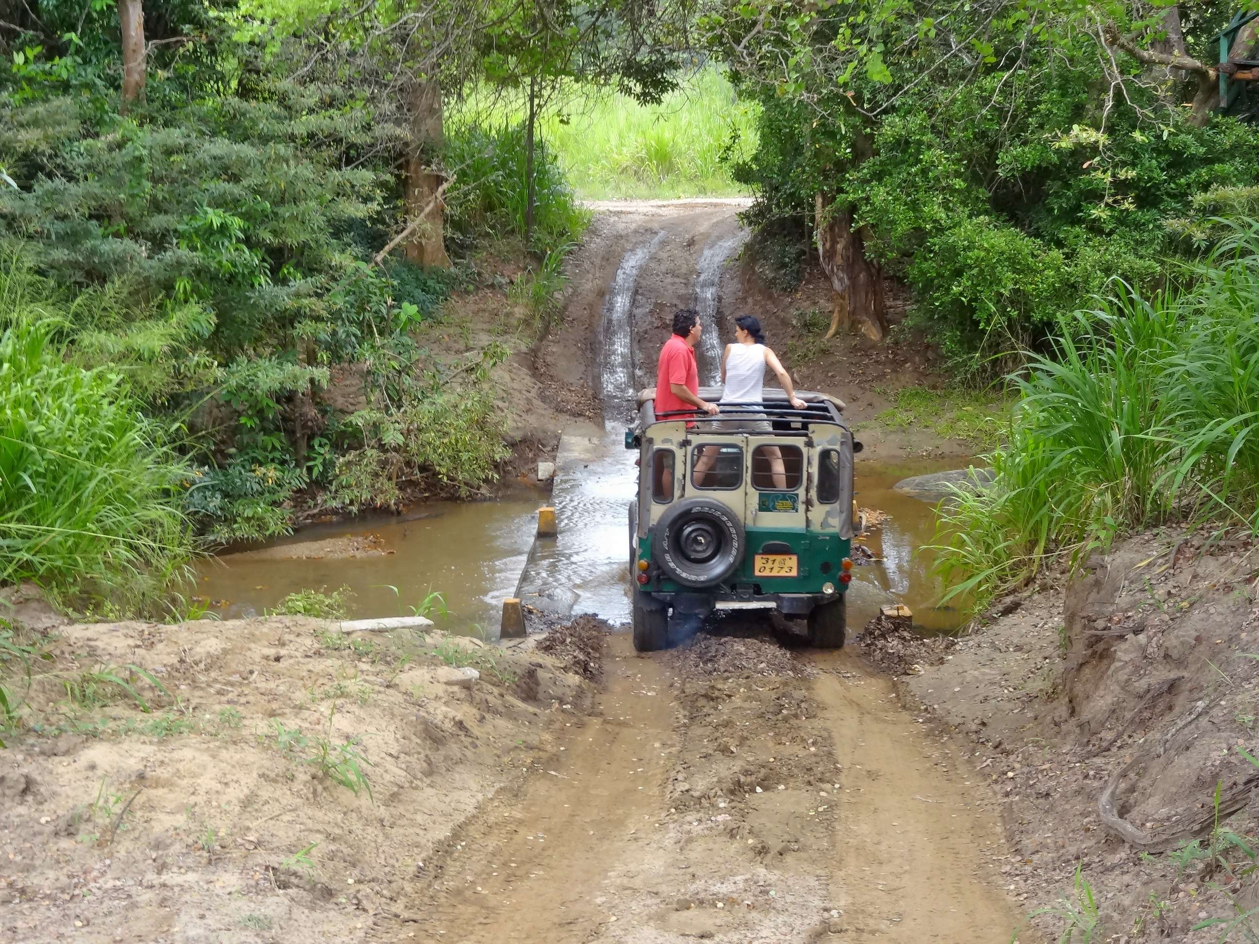 Jeep safari in Pobitra Wild Life Sanctuary