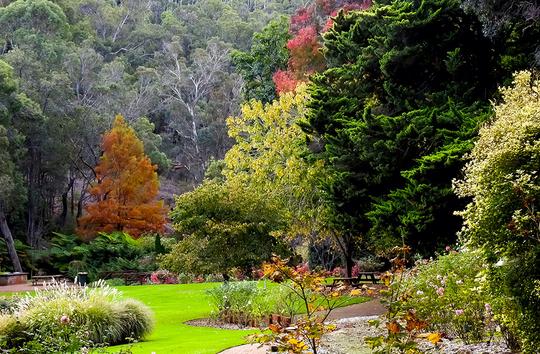 Araluen Botanic Park Tour, Perth Image