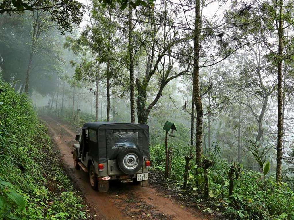Jeep Safari In Munnar Image