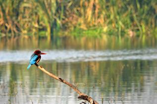 Wduespjx0soxcp6p5e3fmkdcvg8m 1575035612 15794339866 7026246207 o