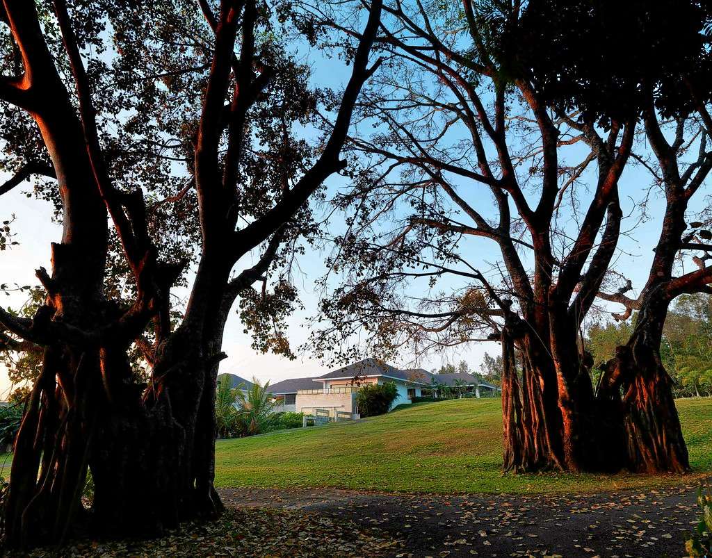 Serai Chikmagalur Image