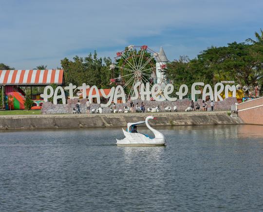 Pattaya Sheep Farm Ticket Image