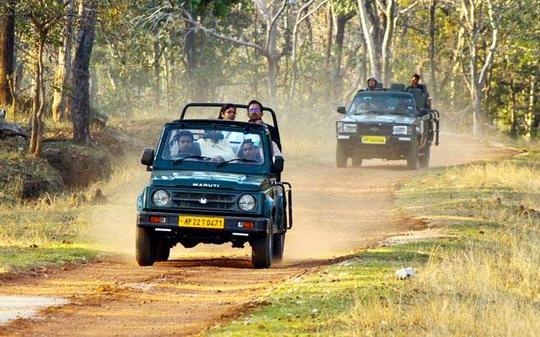 Tadoba Tour  Image