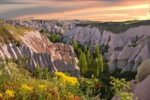 Wif6pg8b55yzf1y9g3gcuoknol0e rose%20valley%20turkey 1