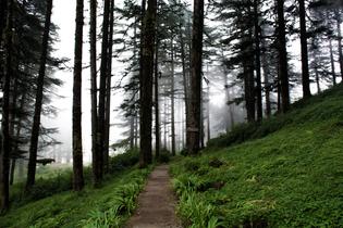 Wiuh7xafpdmik6uazz0ezkf4x5ul 31119304183 bc67774fe7 o