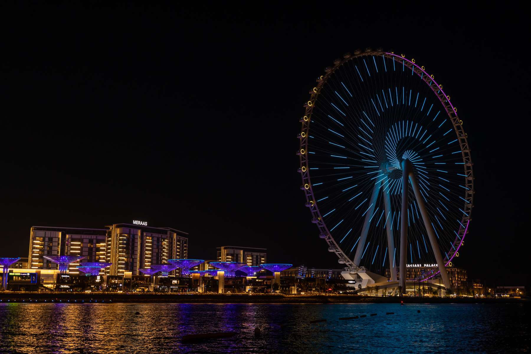 Ain Dubai Tickets Image