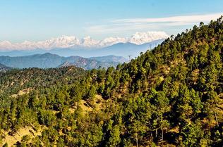 Binsar Trek