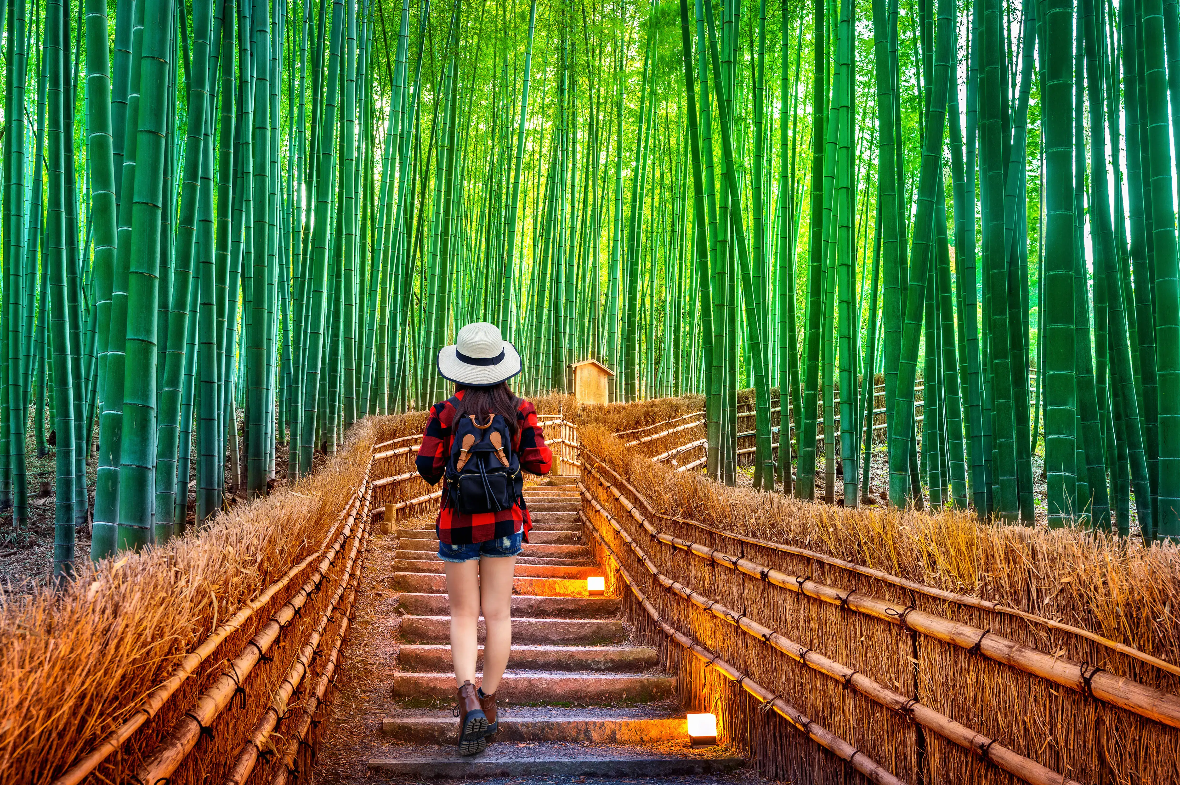 Girl at the stunning Arashiyama Bamboo Grove