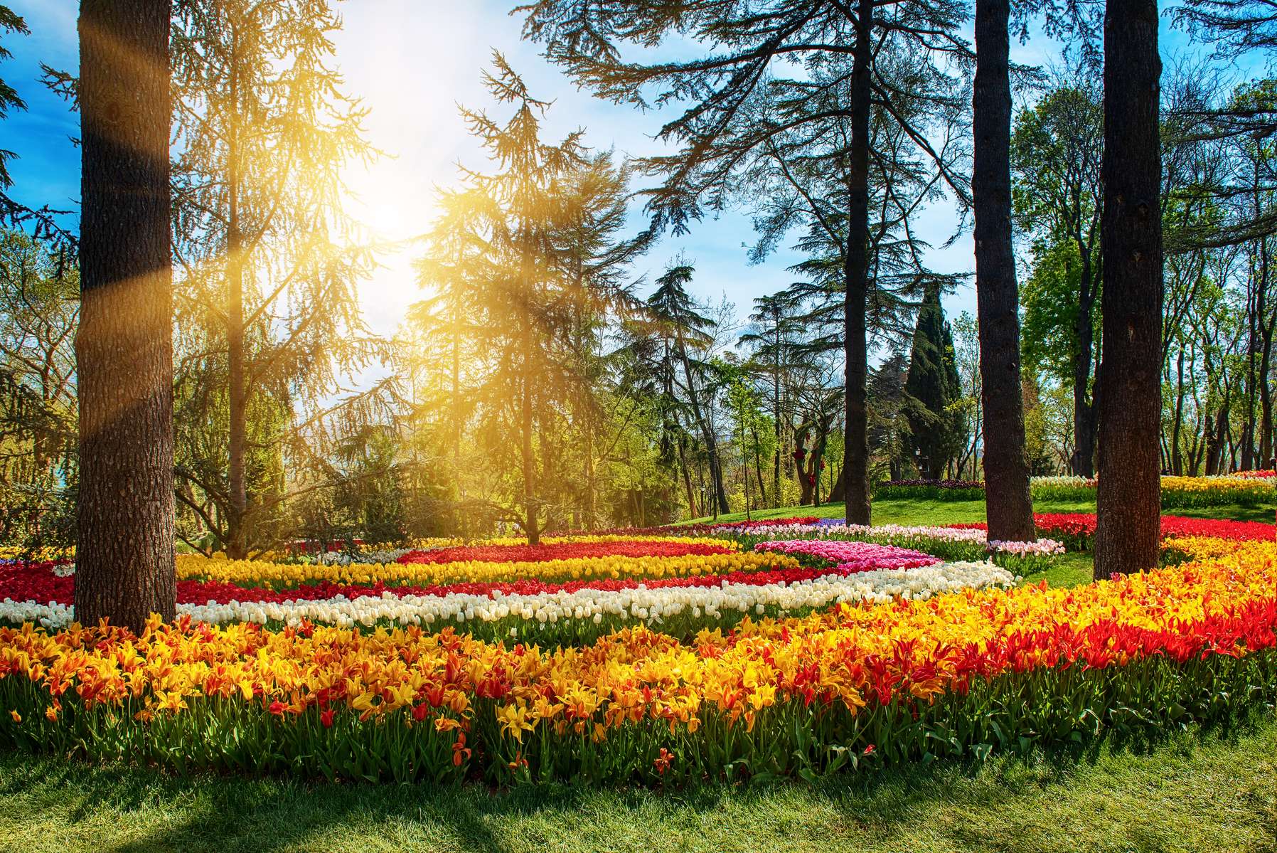 Hop On Hop Off Bosphorus Boat Cruise in Istanbul Image