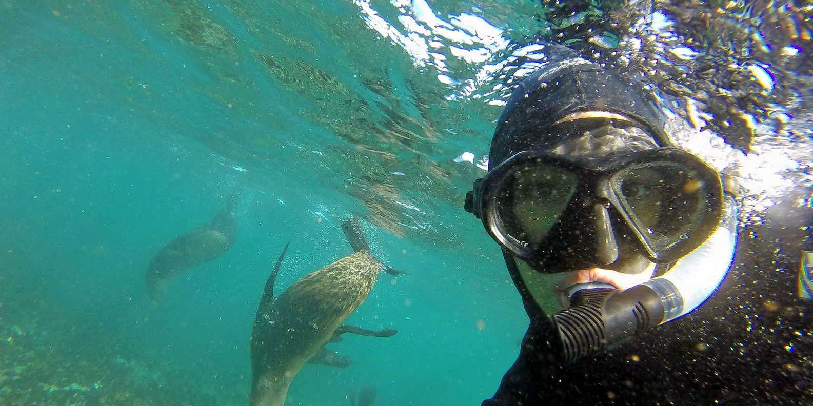 Miami to Key West Snorkeling Tour Image