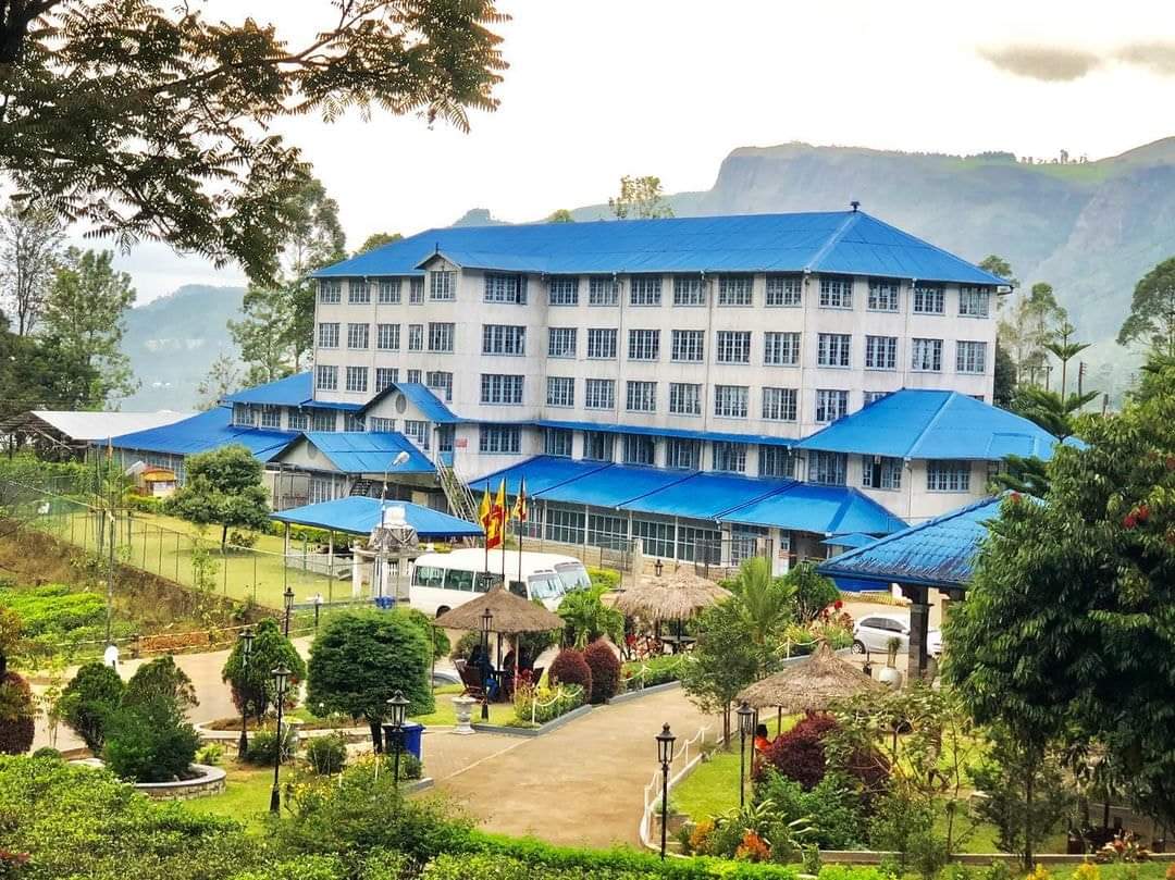 Nuwara Eliya Tea Plantation Tour Image