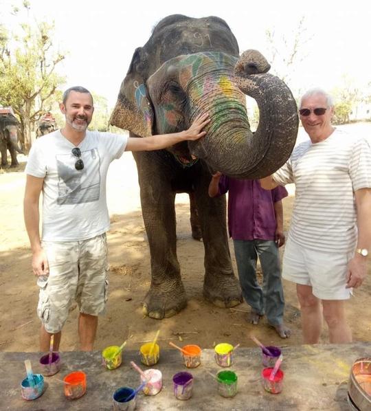 A day with an Elephant Image