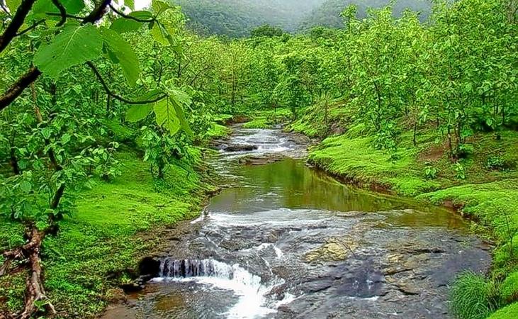 Tansa Wildlife Sanctuary