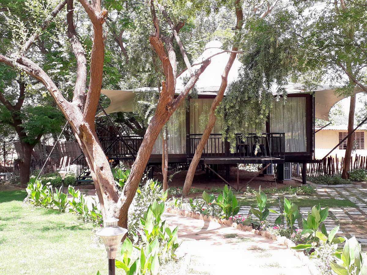 Sterling Sariska Image