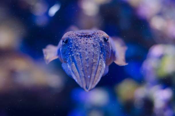 Wqq7xd26ln3jkdsfyxyczk48h95g shutterstock 1293061045