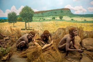 Wqrxa6hryt7ea3wbwz8bfzp1z7o0 1481609137 prehistory at nairobi national museum