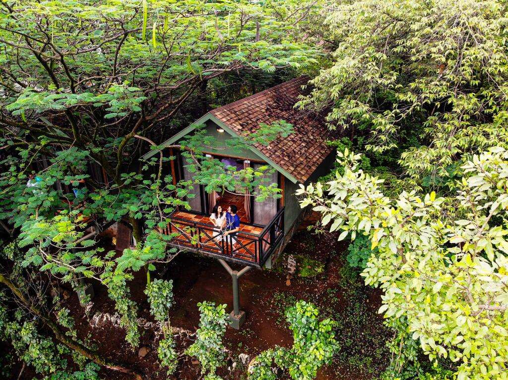 Wray58d92ypnwdn5m78zmhpfryav 266682884