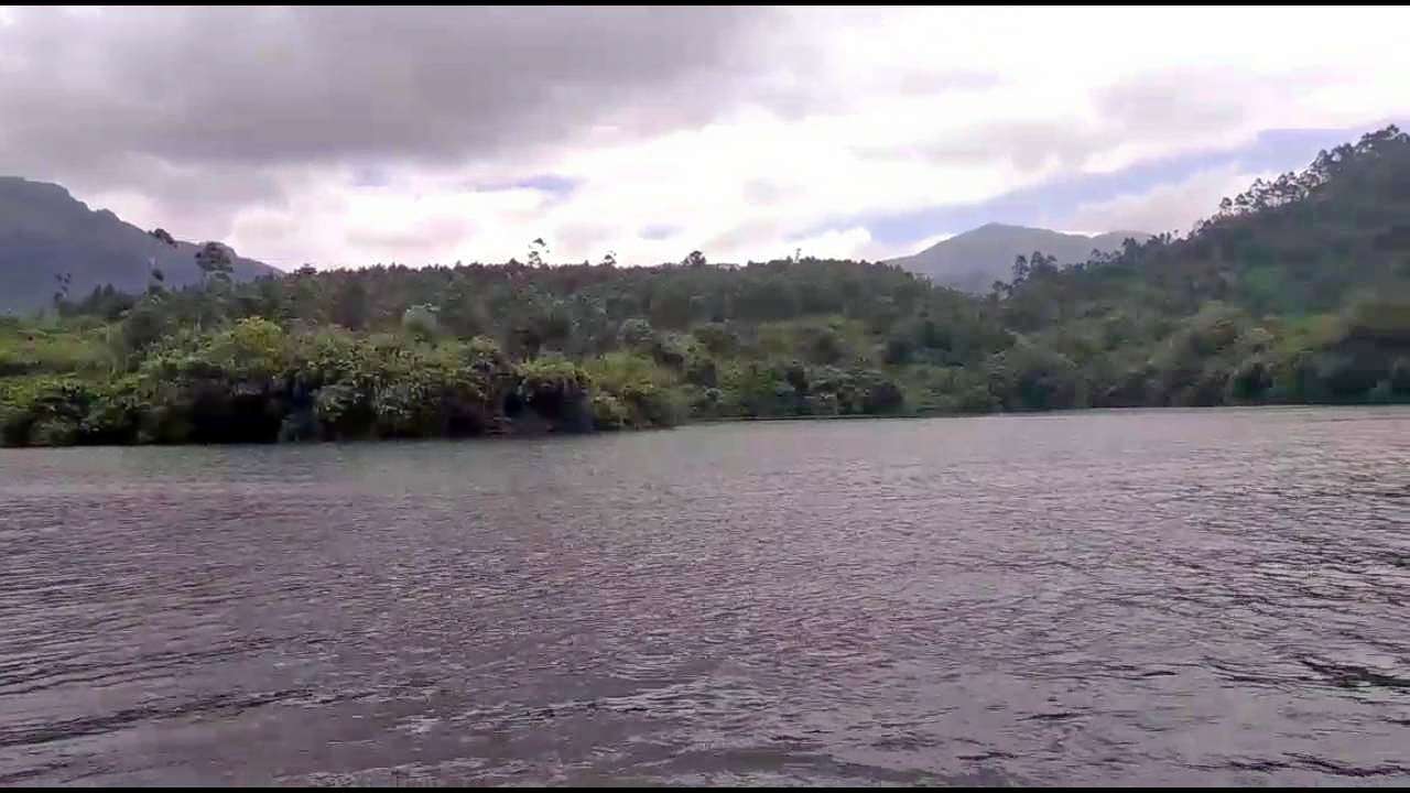 Plantation Sightseeing Tour In Munnar  Image