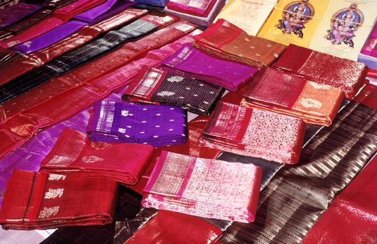 One Day Trip from Chennai to Kanchipuram Image