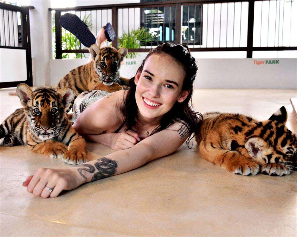 Tiger Park Pattaya Tickets  Image