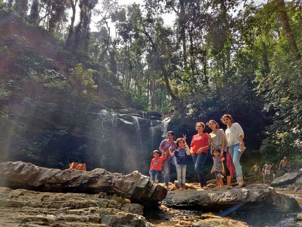 Valley View Tree House Stay Near Chikmagalur Image