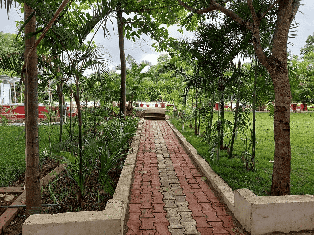 Adventure Jungle Stay in Dandeli Image