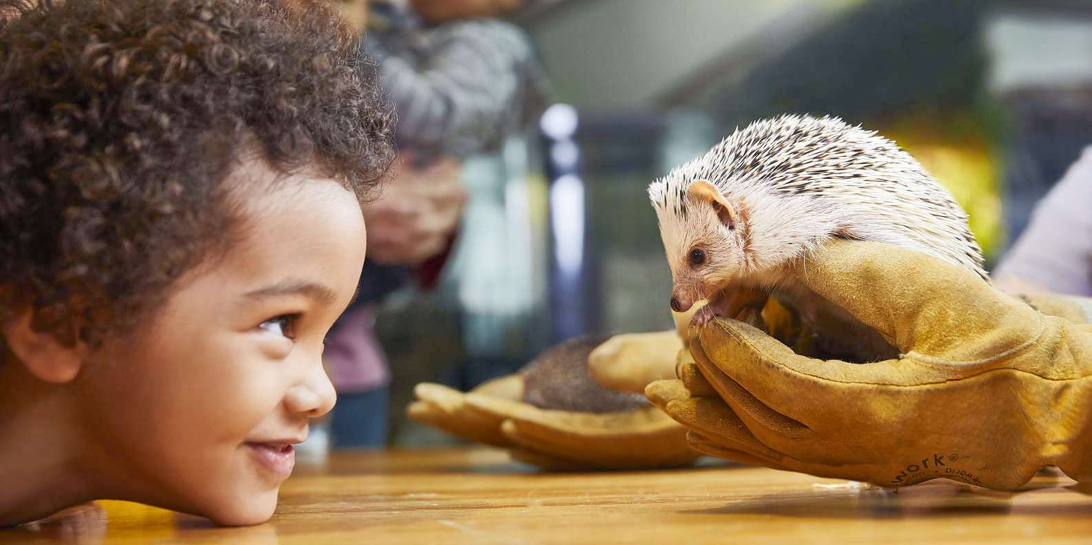 Boston Museum of Science Tickets Image