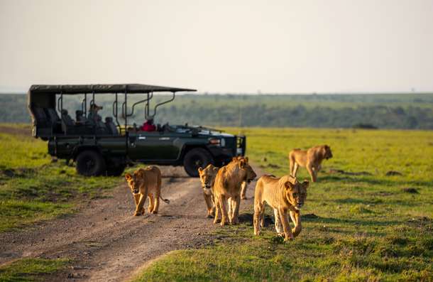 Wufluk0jq3zlsgmopg66ou2h7o0k shutterstock 2346599325