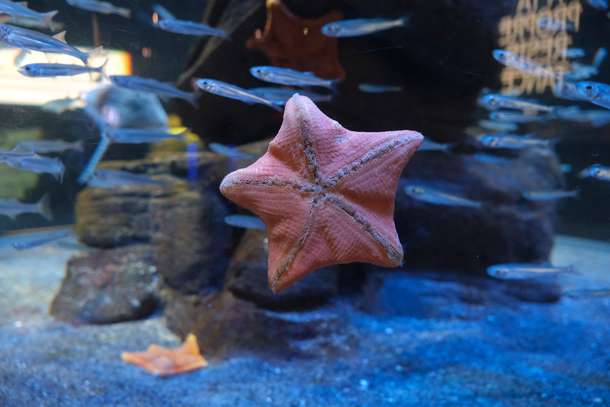 Wvnt5mfe7a1xhpqpithr4h7t39oc 305954123 10160358092234516 6743913130436551999 n