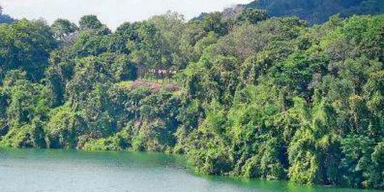 Lion Safari Park In Trivandrum Image