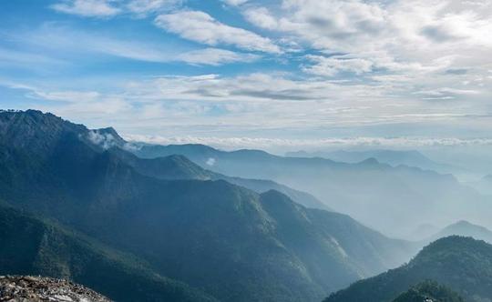 Scenic Trek To Canopy Hill Image