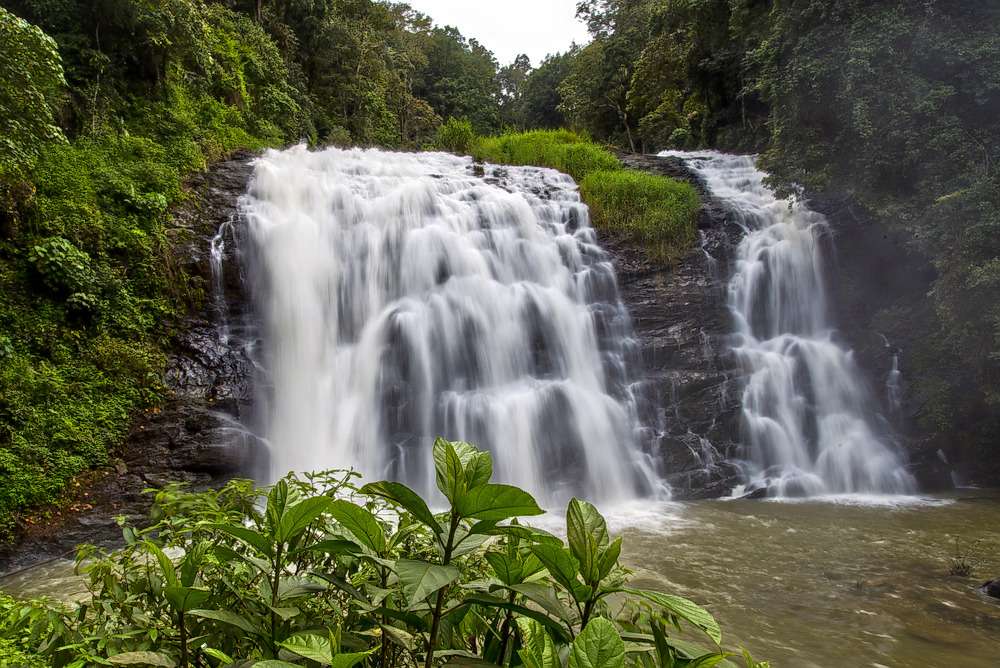 Capture the beauty of Abbey Falls cascading amidst verdant greenery