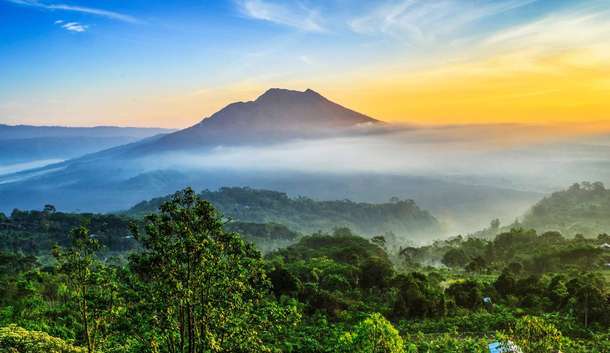 Ubud and Kintamani Volcano Tour