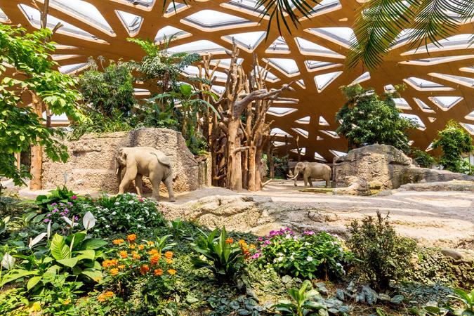 Zurich Zoo