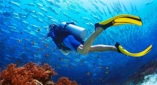 Scuba Diving Experience in Mahabalipuram Image