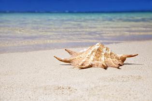 X54ydfsleutp9cl2qijbz03ul7l1 1614238224 shutterstock 131225561