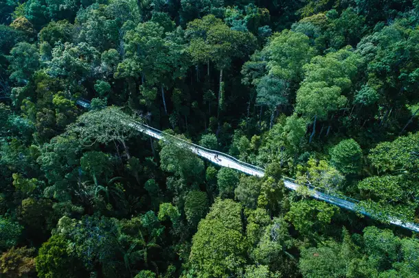 X5gjfdvms67a5kya603b0sv7f2jx penang