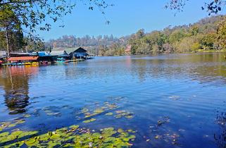 Dolphin’S Nose Kodaikanal 