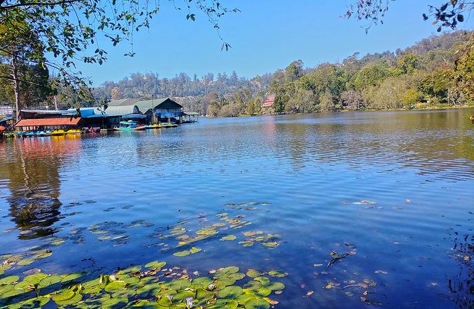 Dolphin’S Nose Kodaikanal 