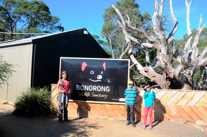 Bonorong Wildlife Sanctuary with your loved ones