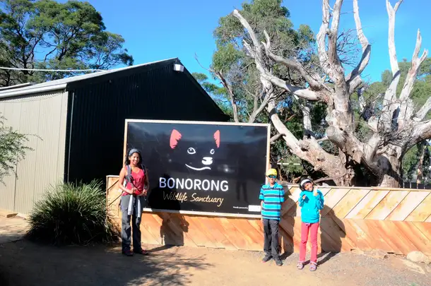 Bonorong Wildlife Sanctuary with your loved ones
